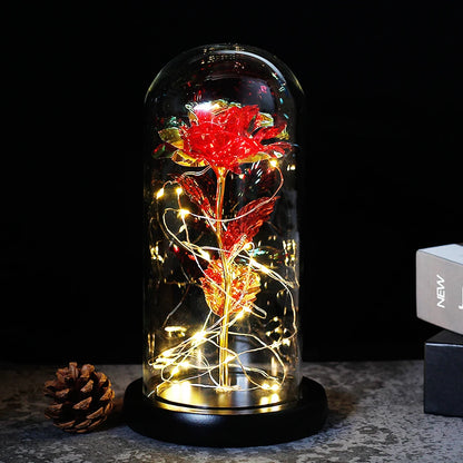 Beauty And The Beast Mother's Day Rose LED Enchanted Rose Eternal Flower Lights In Dome For Christmas Valentine's Day Gift