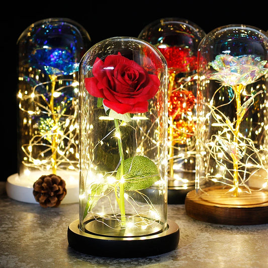 Beauty And The Beast Mother's Day Rose LED Enchanted Rose Eternal Flower Lights In Dome For Christmas Valentine's Day Gift