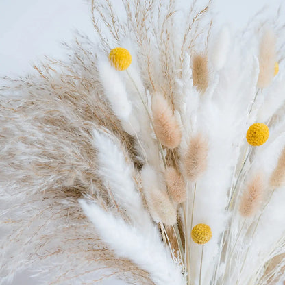 80Pcs Natural Dried Pampas Grass Bouquet Set Boho Home Decor Pompous Large Reed Bunny Tail Wheat Stalk Decorative Dekoration